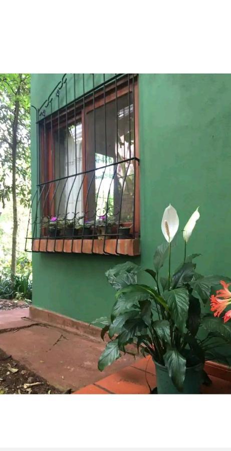 Jardin De Naipi Διαμέρισμα Πουέρτο Ιγκουασού Εξωτερικό φωτογραφία