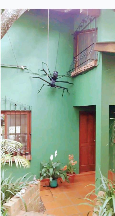Jardin De Naipi Διαμέρισμα Πουέρτο Ιγκουασού Δωμάτιο φωτογραφία